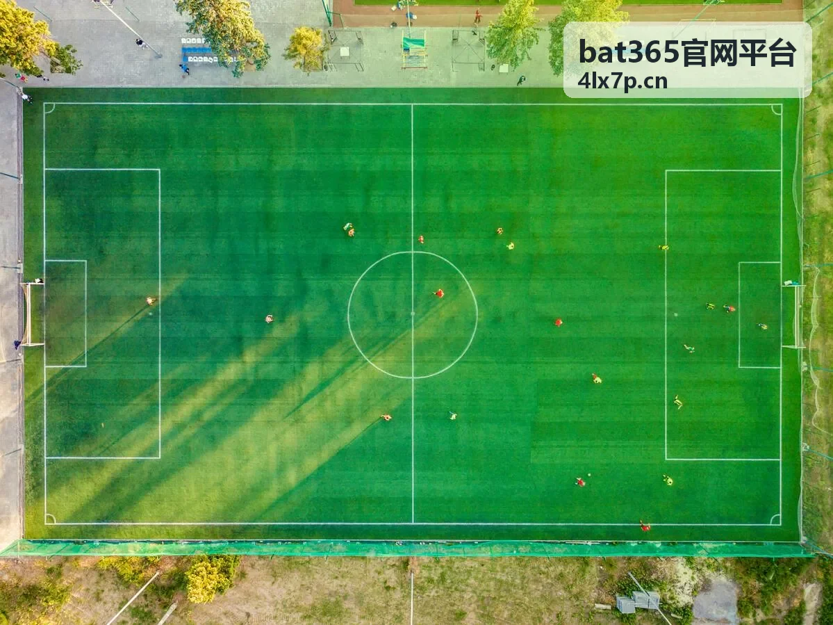 bat365官网平台常见问题问答摘要卡片